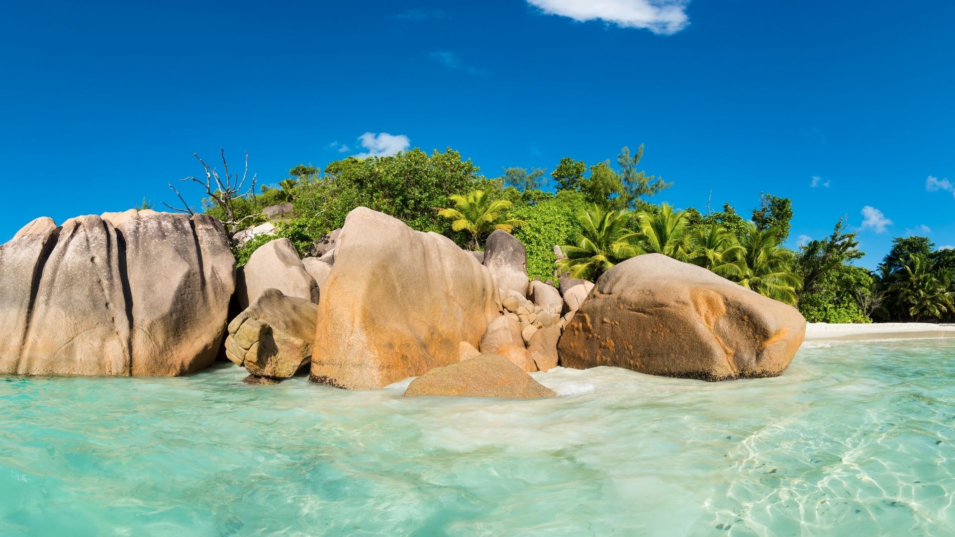 Curieuse - Cousin Island - Anse Lazio