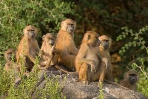 Dakar, Senegal