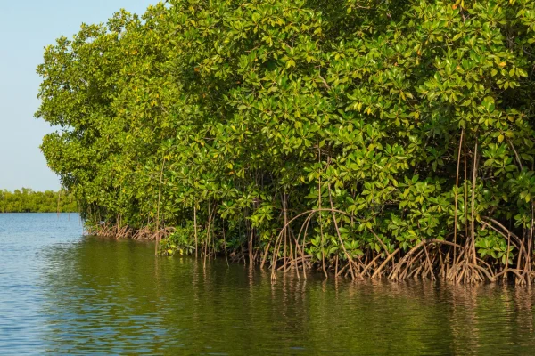 Tendaba, The Gambia