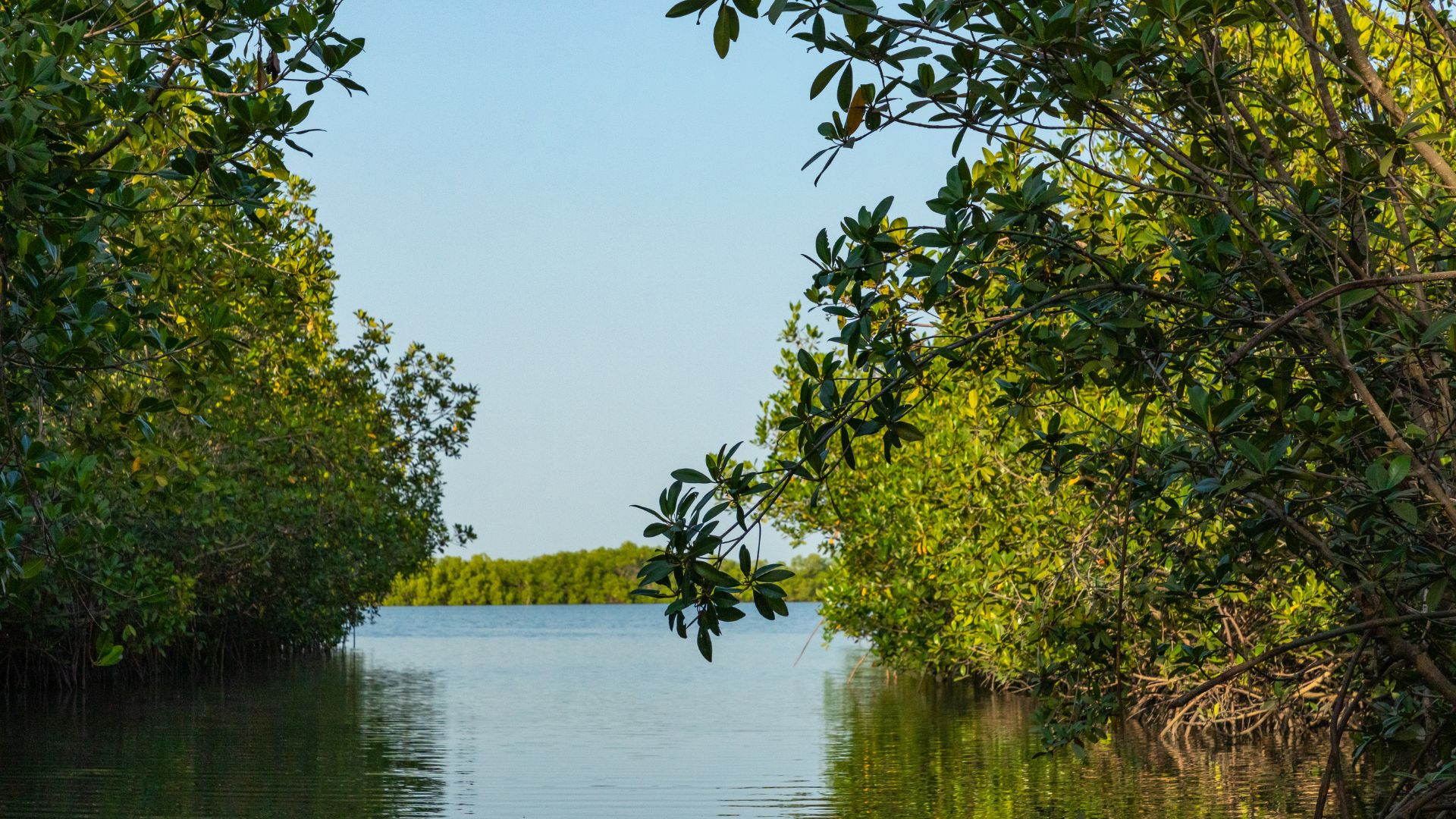Kunta Kinteh Island - Banjul, The Gambia