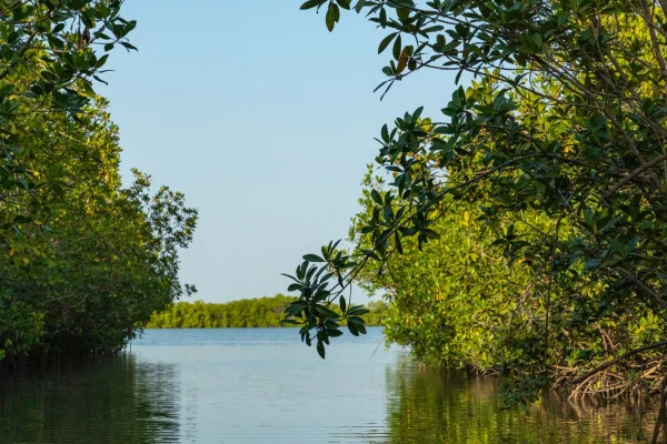 Kunta Kinteh Island - Banjul, The Gambia